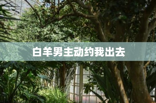 白羊男主动约我出去