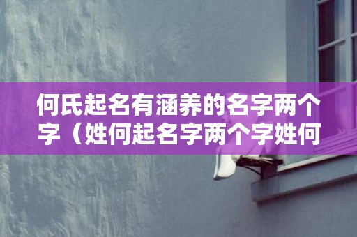 何氏起名有涵养的名字两个字（姓何起名字两个字姓何二字名字）