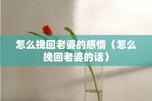 怎么挽回老婆的感情（怎么挽回老婆的话）