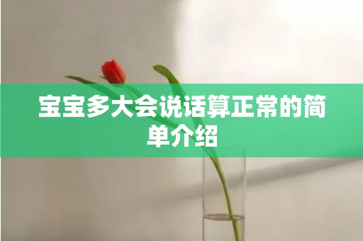 宝宝多大会说话算正常的简单介绍