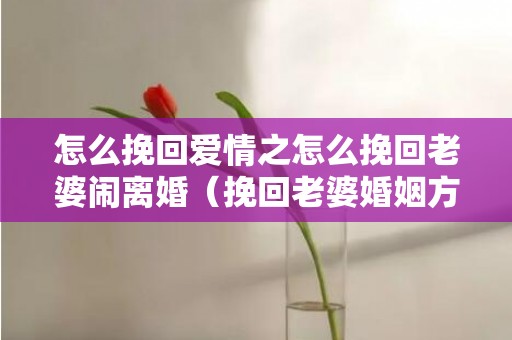 怎么挽回爱情之怎么挽回老婆闹离婚（挽回老婆婚姻方法）