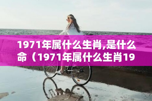 1971年属什么生肖,是什么命（1971年属什么生肖1970年属什么生肖）