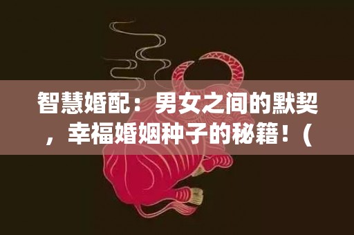 智慧婚配：男女之间的默契，幸福婚姻种子的秘籍！(字符数：39)