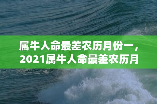 属牛人命最差农历月份一，2021属牛人命最差农历月份(2009属牛人命最差农历月份)