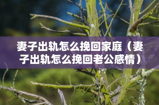 妻子出轨怎么挽回家庭（妻子出轨怎么挽回老公感情）