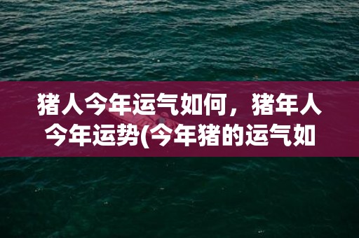 猪人今年运气如何，猪年人今年运势(今年猪的运气如何)