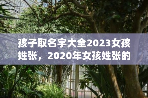 孩子取名字大全2023女孩姓张，2020年女孩姓张的宝宝的姓名(孩子取名字大全2024女孩)