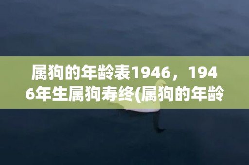 属狗的年龄表1946，1946年生属狗寿终(属狗的年龄表1922)