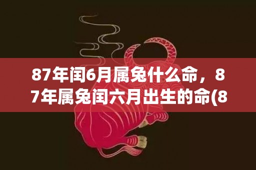 87年闰6月属兔什么命，87年属兔闰六月出生的命(87年闰6月属兔什么命)