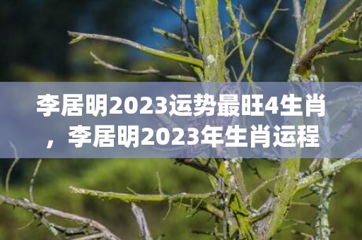 李居明2023运势最旺4生肖，李居明2023年生肖运程(李居明2023运势猴)