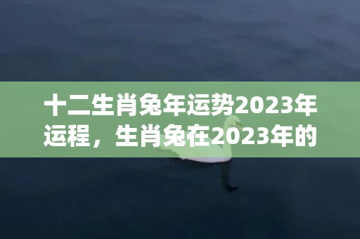 十二生肖兔年运势2023年运程，生肖兔在2023年的运势以及注意月份(十二生肖兔年运势运程)