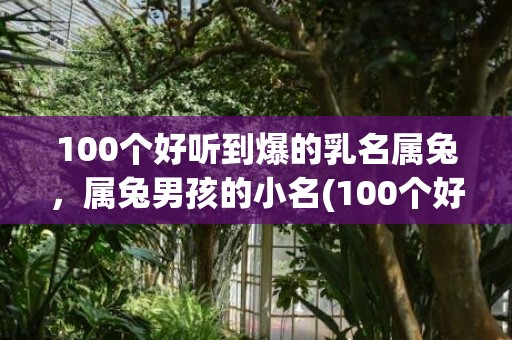 100个好听到爆的乳名属兔，属兔男孩的小名(100个好听到爆英文名男)