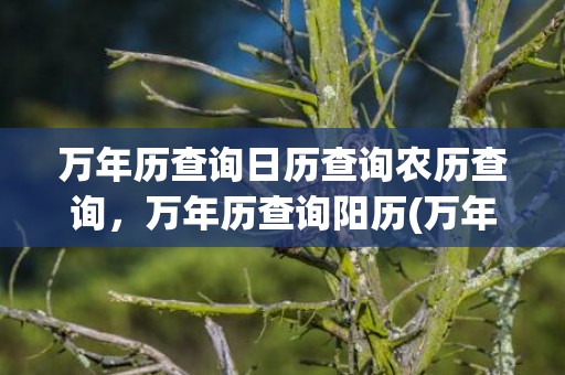 万年历查询日历查询农历查询，万年历查询阳历(万年历查询2023年日历)