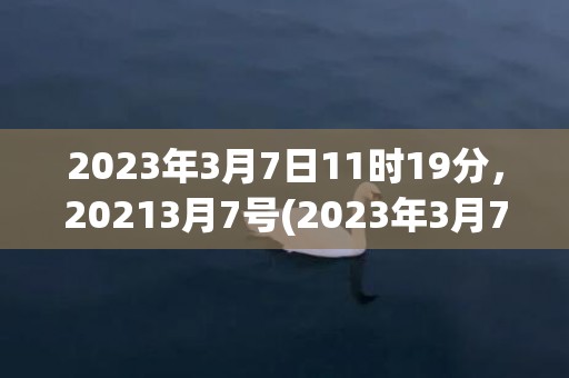 2023年3月7日11时19分，20213月7号(2023年3月7日是星期几)