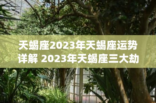 天蝎座2023年天蝎座运势详解 2023年天蝎座三大劫(天蝎座2023年的感情运势)