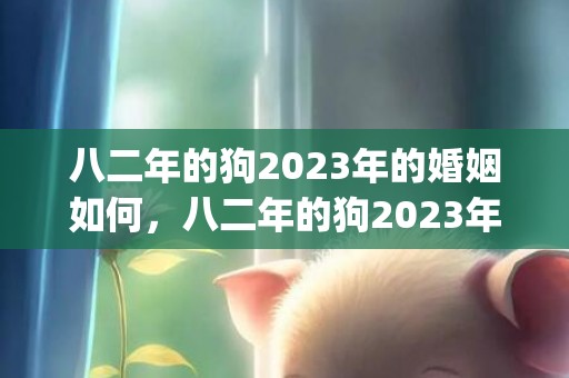 八二年的狗2023年的婚姻如何，八二年的狗2023年的运程(八二年的狗2023年多少岁)