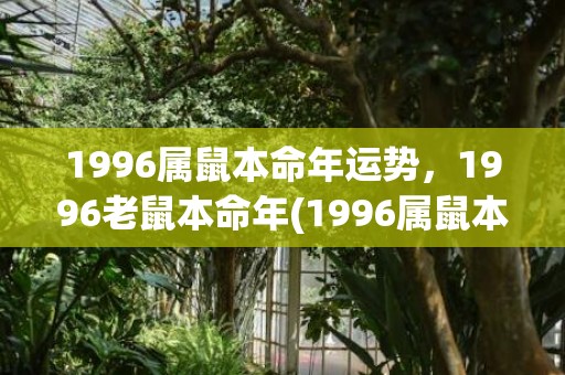 1996属鼠本命年运势，1996老鼠本命年(1996属鼠本命年能生娃儿吗)