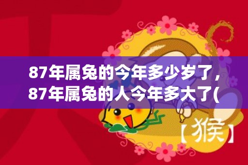 87年属兔的今年多少岁了，87年属兔的人今年多大了(87年属兔的今年三十几)