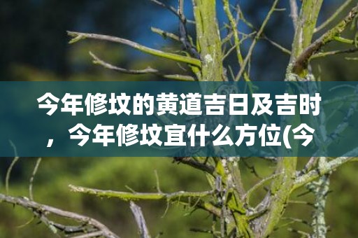 今年修坟的黄道吉日及吉时，今年修坟宜什么方位(今年修坟的黄道吉日及吉时?)