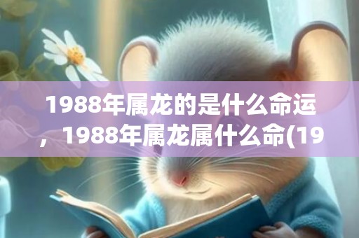 1988年属龙的是什么命运，1988年属龙属什么命(1988年属龙的是土命还是木命)