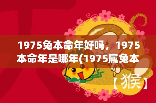 1975兔本命年好吗，1975本命年是哪年(1975属兔本命年戴什么好)