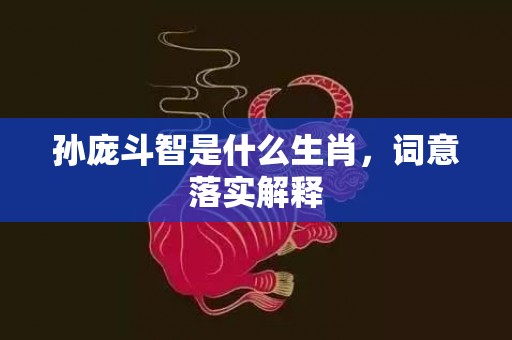 孙庞斗智是什么生肖，词意落实解释