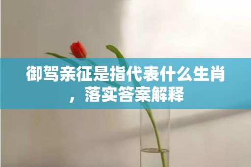 御驾亲征是指代表什么生肖，落实答案解释