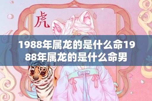 1988年属龙的是什么命1988年属龙的是什么命男