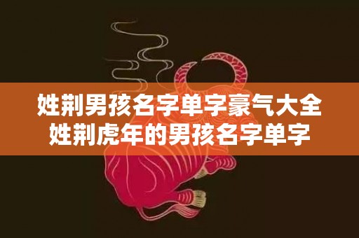 姓荆男孩名字单字豪气大全姓荆虎年的男孩名字单字