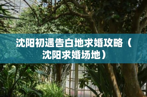 沈阳初遇告白地求婚攻略（沈阳求婚场地）