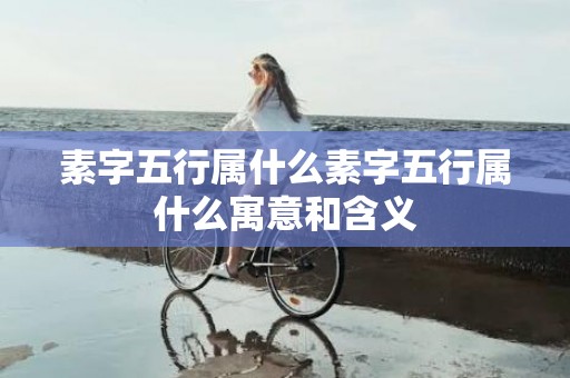 素字五行属什么素字五行属什么寓意和含义