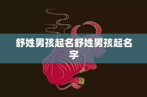 舒姓男孩起名舒姓男孩起名字