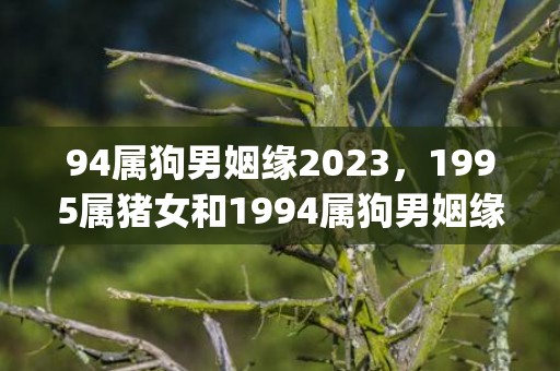 94属狗男姻缘2023，1995属猪女和1994属狗男姻缘(94年属狗的姻缘怎么样)