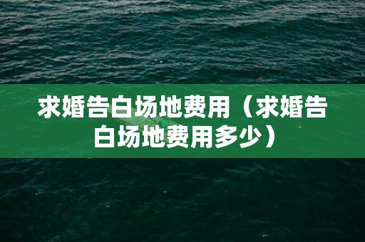 求婚告白场地费用（求婚告白场地费用多少）