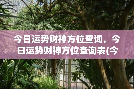 今日运势财神方位查询，今日运势财神方位查询表(今日运势财神方位和穿衣颜色)