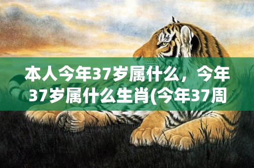 本人今年37岁属什么，今年37岁属什么生肖(今年37周岁属什么)