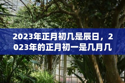 2023年正月初几是辰日，2023年的正月初一是几月几日(2023年正月初九是阳历几号)