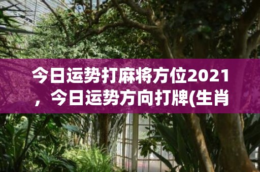 今日运势打麻将方位2021，今日运势方向打牌(生肖狗今日打麻将运势)