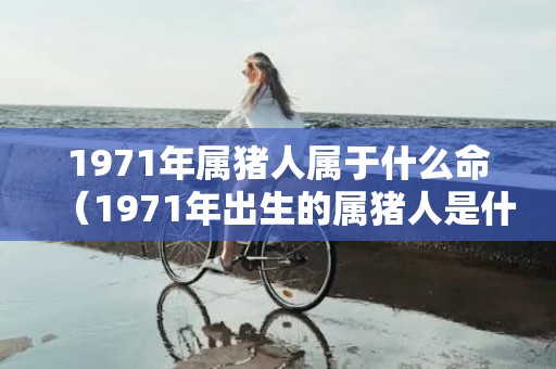 1971年属猪人属于什么命（1971年出生的属猪人是什么命1971年属猪的什么命?）