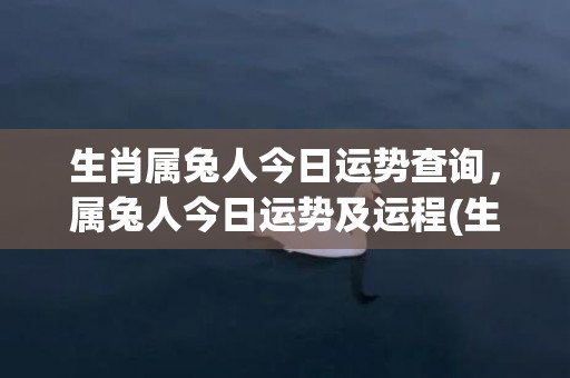 生肖属兔人今日运势查询，属兔人今日运势及运程(生肖属兔今日运势)