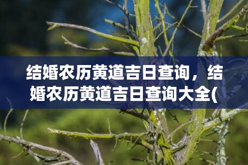 结婚农历黄道吉日查询，结婚农历黄道吉日查询大全(农历十一月结婚黄道吉日查询)