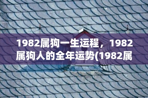 1982属狗一生运程，1982属狗人的全年运势(1982属狗人一生财运)