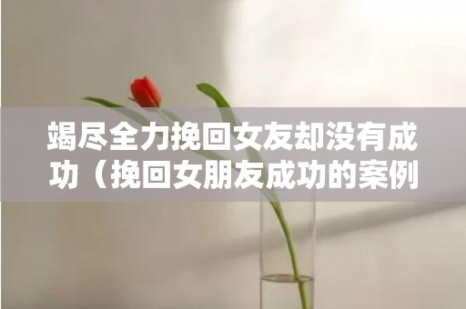 竭尽全力挽回女友却没有成功（挽回女朋友成功的案例）