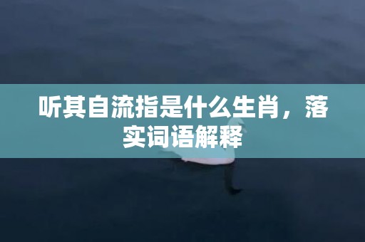 听其自流指是什么生肖，落实词语解释