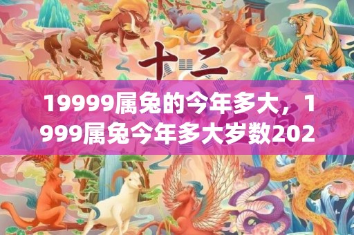 19999属兔的今年多大，1999属兔今年多大岁数2020(1999属兔24岁以后运气如何)