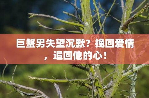 巨蟹男失望沉默？挽回爱情，追回他的心！