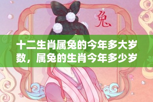 十二生肖属兔的今年多大岁数，属兔的生肖今年多少岁(十二生肖之天下属兔)