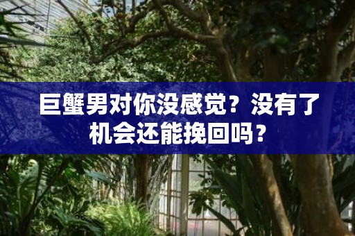 巨蟹男对你没感觉？没有了机会还能挽回吗？