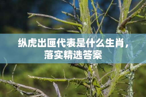 纵虎出匣代表是什么生肖，落实精选答案