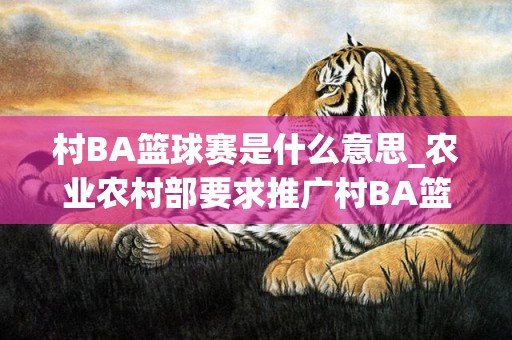 村BA篮球赛是什么意思_农业农村部要求推广村BA篮球赛(村ba篮球赛是什么意思)